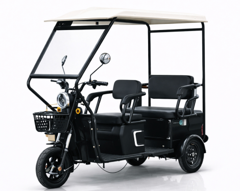 Триместна 2+1 карго електрическа триколка с покрив TS-302 MAXI 2000W 60V 36AH