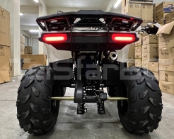 ATV TELSTAR DAZZLE LONG 150сс дълга база с 8'' гуми, автоматична скоростна кутия снимка 136