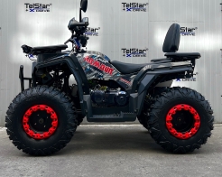 ATV TELSTAR TS-250 ARMOUR с лебедка и всички екстри Нов модел 2025 снимка 187