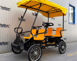 Електрическа рикша с педали Tourist-4 23Ah без регистрация снимка 253