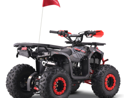 ATV модел TELSTAR SIRIUS 150 със 7'' гуми и двигател LONCIN Нов модел снимка 275